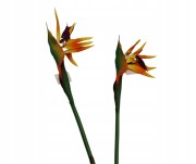 VIP2332/2 GAŁĄZKA STRELICJA 82CM
