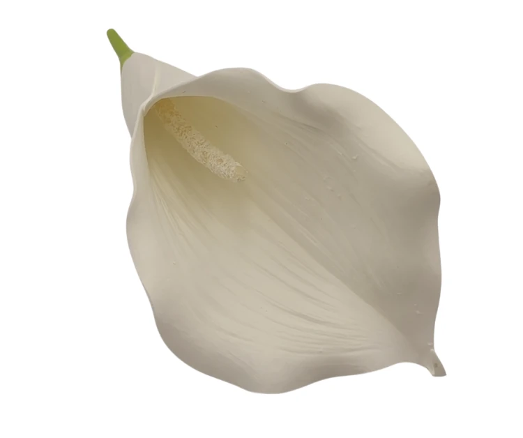 MI025 Calla Wyrobowa Biała 24szt.