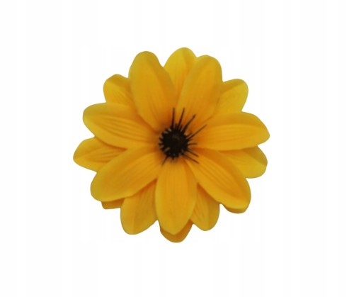 Dalia L016 New Yellow Paczka 12szt.