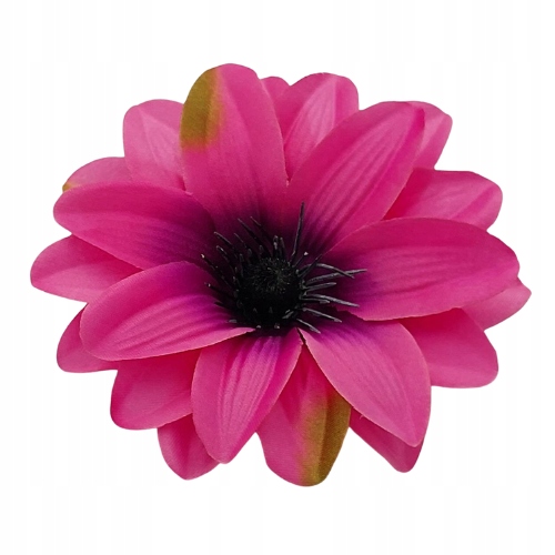 Dalia L016 Beauty Paczka 12szt.