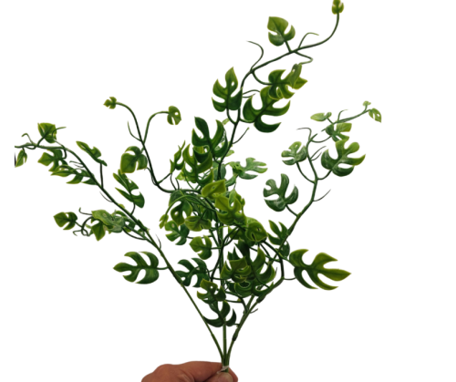 CV38860 Bukiet Monstera