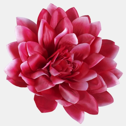 W537-18 Dalia Wyrobowa Fuksja 6szt.