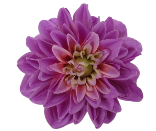 VIP6463/55 Dalia fioletowa