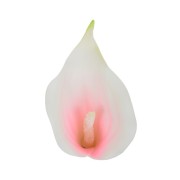 W149-04 Kalla wyrobowa 13cm White/lt. pink 24szt.