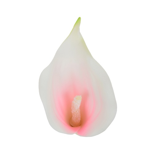 W149-04 Kalla wyrobowa 13cm White/lt. pink 24szt.