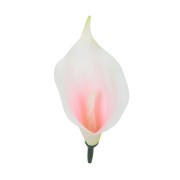 W149-04 Kalla wyrobowa 13cm White/lt. pink 24szt.