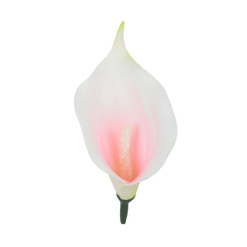 W149-04 Kalla wyrobowa 13cm White/lt. pink 24szt.