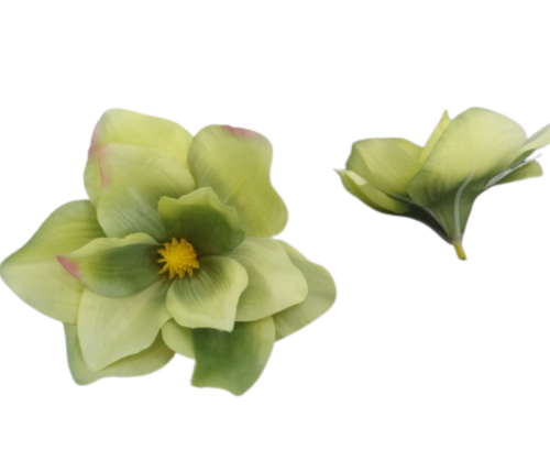 VIP7629/46 Kwiat Wyrobowy Magnolia Zielony 12szt.