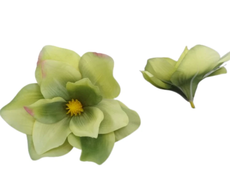VIP7629/46 Kwiat Wyrobowy Magnolia Zielony 12szt.
