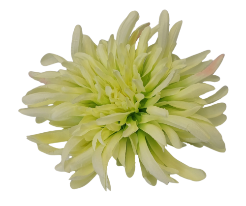 RS004 Chryzantema Wyrobowa LIMONKA SZTUKA