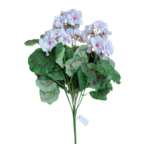 Bukiet Pelargonia 48cm Kremowa z Różem