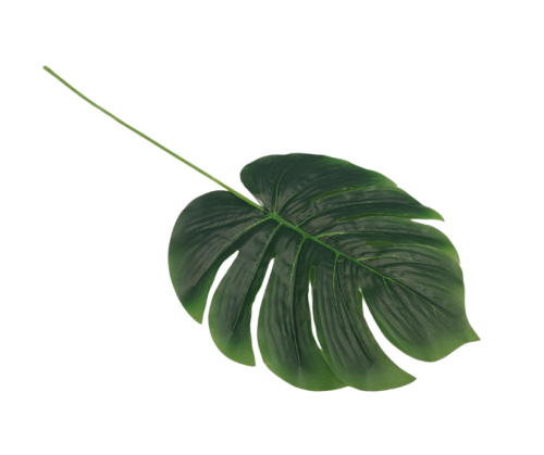 CV38762 Liść Monstera