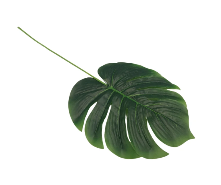 CV38762 Liść Monstera