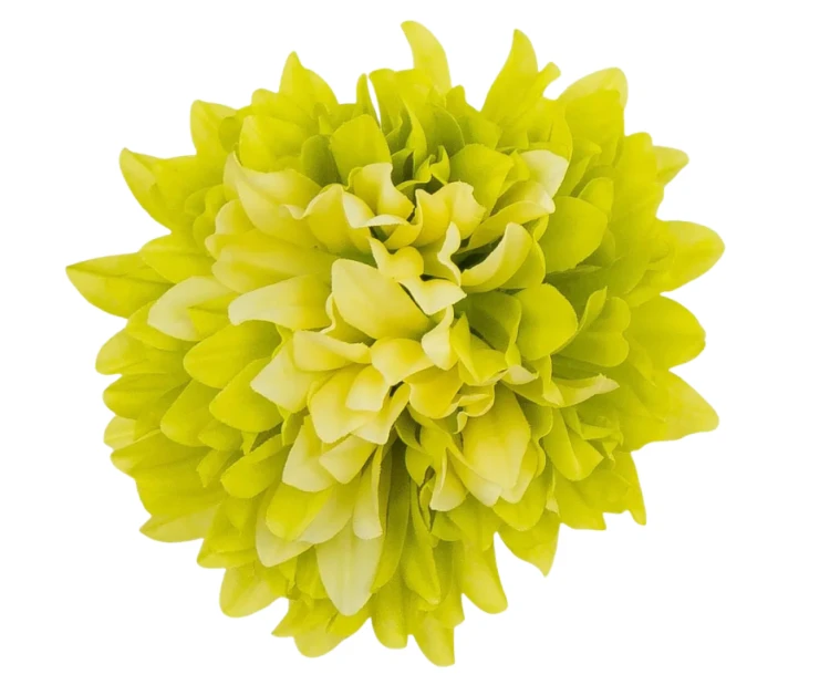 Kwiat Wyrobowy Chryzantema D77-21 cream/green Paczka 12szt.