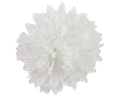Kwiat Wyrobowy Chryzantema D77-01 Cream Paczka 12szt.