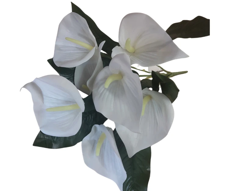 WTJ-2029A Bukiet Calla 50cm