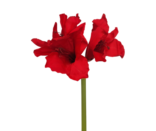 CV14328-4 Amarylis Czerwony Gałązka 65cm
