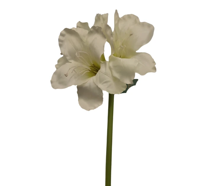 CV14328-1 Amarylis BIAŁY Gałązka 65cm