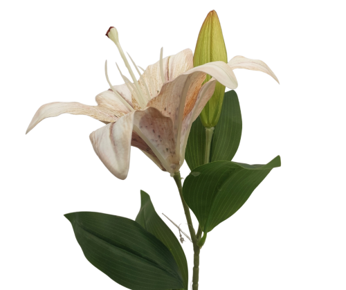 CV37604-2 Gałązka Lilia Gumowa 50CM Biała z różem
