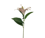 CV37604-2 Gałązka Lilia Gumowa 50CM Biała z różem