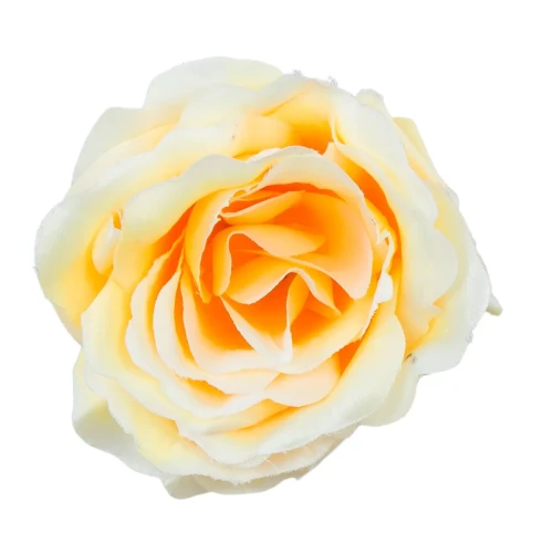 W197-60-01.webp