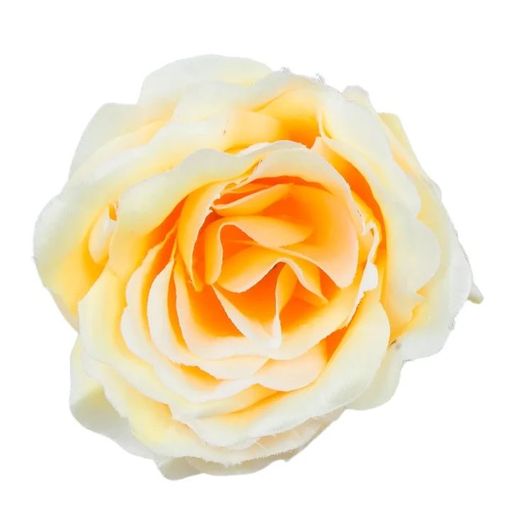 W197-60-01.webp