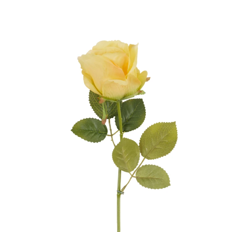 B08-227 Róża Gałązkowa Brzoskwinia 47cm.