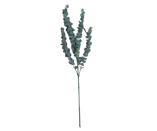 CV35697-2 Gałązka Eukaliptus 77CM Omszała