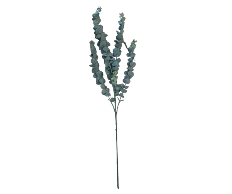 CV35697-2 Gałązka Eukaliptus 77CM Omszała