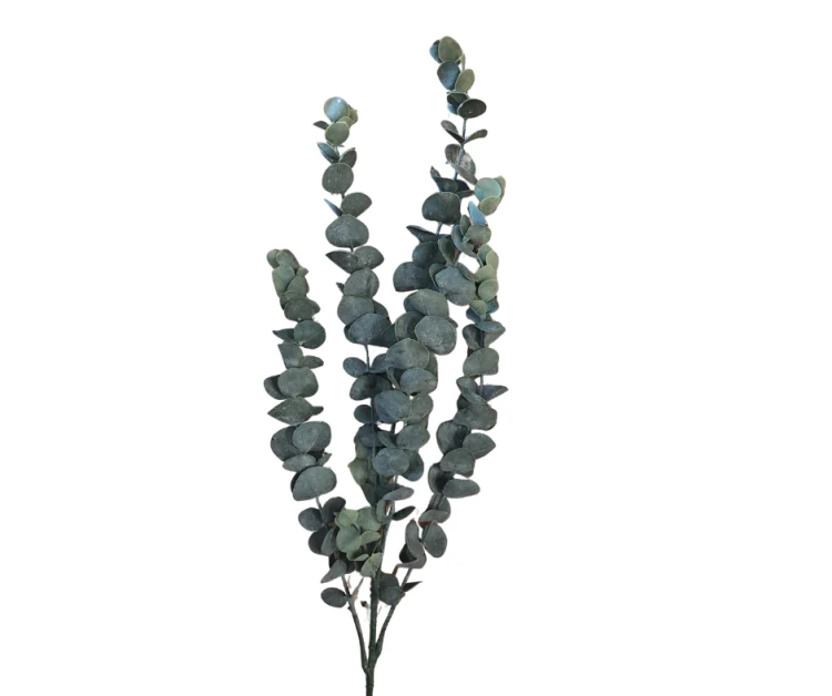 CV35697-2 Gałązka Eukaliptus 77CM Omszała